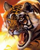 tiger.JPG